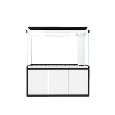 Simple Modern Rectangular Eco Aquarium Tank
