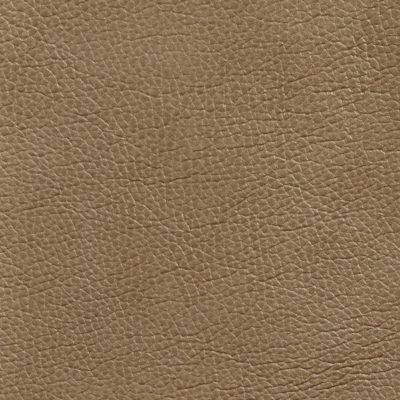 Emu lisse, Beige moyen