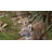 Playing Tiger Cub Figurine