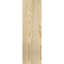 Sapin Douglas-114337812-114337784