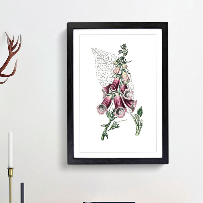 Foxglove Flowers Illustration - Framed Print, 36cm H x 27cm W x 2cm D, Black Framed