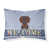 Chocolate Wire Haired Dachshund selected