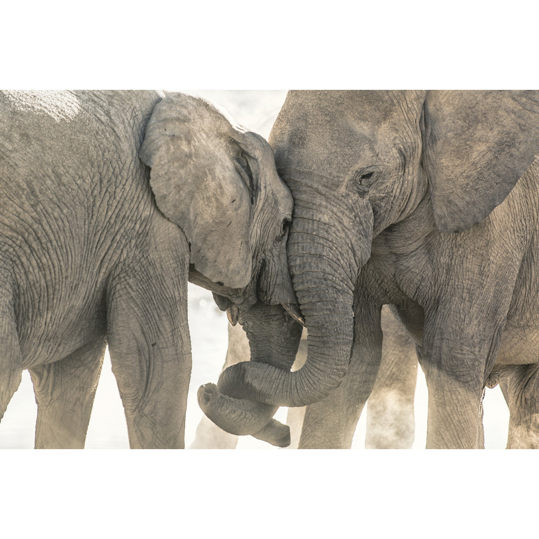 Elephant At Okaukuejo by 2630ben - Wrapped Canvas Print