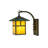 Wydra Brass Wall Light