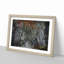 Dark Hedges Tree Road Ireland in Abstract - Picture Frame Graphic Art Print on MDF-55679629-55679625