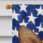 Polyester à 2 côtés 28 x 40 po drapeau maison-1879433986
