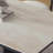 High-end antique style dining table-368788110