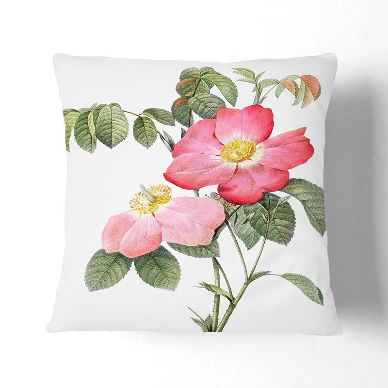 Square Throw Cushion, 55cm H x 55cm W x 20cm D