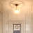 Braian Glass Semi Flush Mount