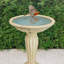 Espino Bird Bath-1064756297