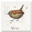 « wren », reproduction sur toile tendue-23099107