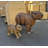 Capybara Mama Life Size Statue