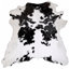 Alleman Performance Cowhide Animal Print Indoor Rug
