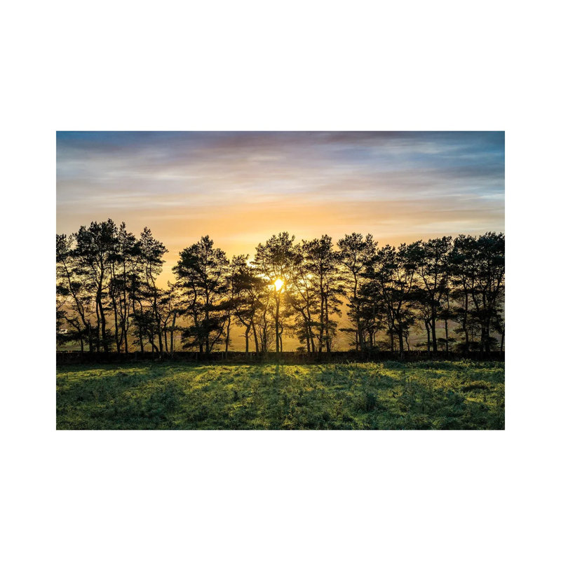 Autumn Tree Peak District UK by Stephen Hodgetts - No Frame Gallery-Wrapped Canvas Giclée on Canvas, 30.48cm H x 45.72cm W