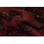 Tapis oriental rouge éléphant avec pied éléphant 5 x 6