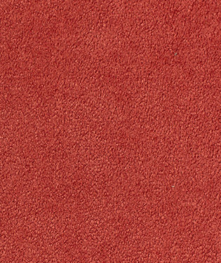 Starlight Fabric