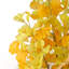 Anivea 150cm Faux Ginkgo Tree in Pot