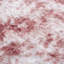 Area Rug-1907630594