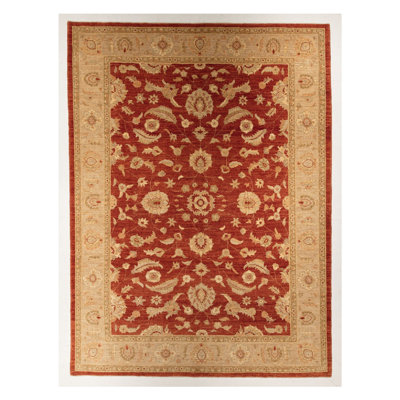 Hand Knotted Oriental Area Rug