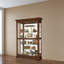 Lighted Curio Cabinet