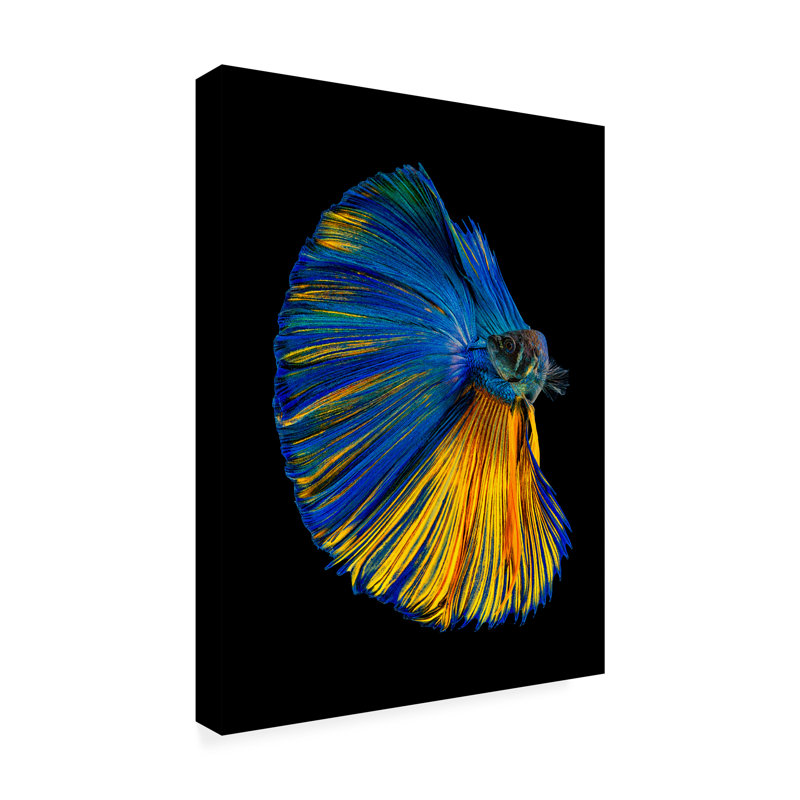 «Yellow A Blue On Canvas» par Andi Halil, reproduction, H 19 po x l 14 po x P 2 po