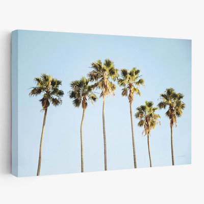 Été côtier et tropical V