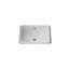 Iron Plains Dual-Mount Bathroom Sink-1490869910