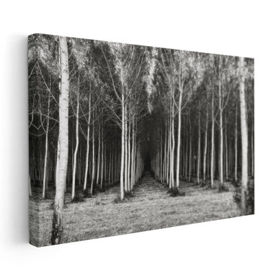 «Alley At Lac Duby», reproduction d'art sur toile
