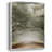 " Doris Duke Garden "-566275763-566275760