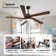 Athanafis Ceiling Fan with LED Lights