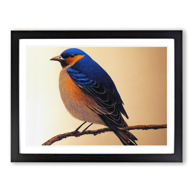 XH1022-6887X Phenomenal Bird - Single Picture Frame Print, Black Framed, 46cm H x 64cm W x 2cm D