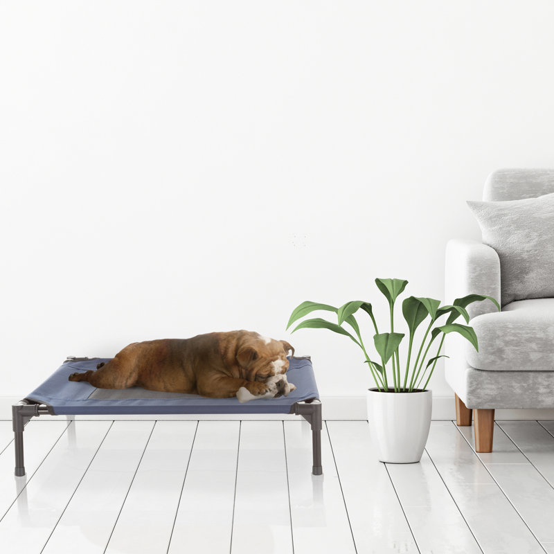 Lit pour chien surélevé PETMAker 30 x 24 pouces - Bleu, Moyen (l 30 po x P 24 po x H 7 po), Bleu