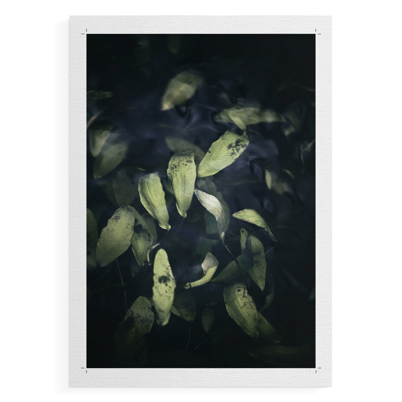 Dramatic Foliage II -Canvas Print Only - NOT FRAMED, 60" H x 40" W