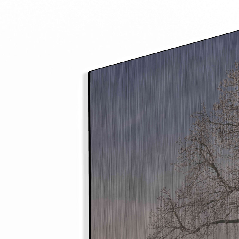 «The Tree Fairy Tale» par Philippe Sainte-Laudy, art mural en métal, 24 po x 16 po, H 24 po x l 36 po