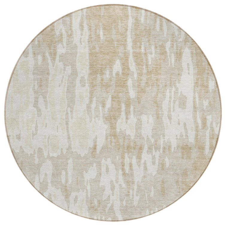  Chayden Area Rug with Non-Slip Backing