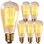 60 Watt ST64 E26/Medium (Standard) Dimmable 2700K Incandescent Bulb