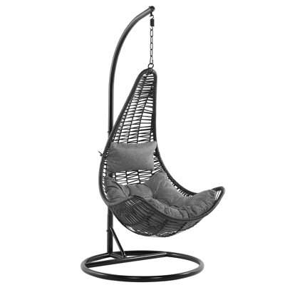 Currin Swing Chair with Stand
