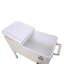Icy Cool Box On Wheels-1310233001