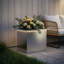 Planter Box-1105119026-1105119030