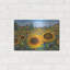 «Sunflower Fields» par Carissa Luminess