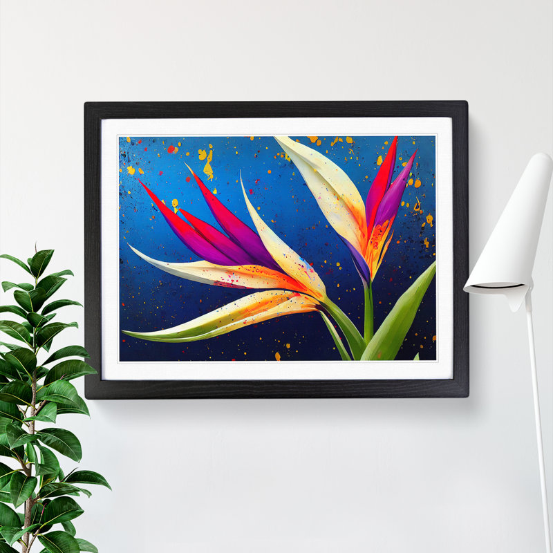Bird of Paradise Flower Splash Vol.5 - Framed Print, 25cm H x 34cm W x 2cm D, Black
