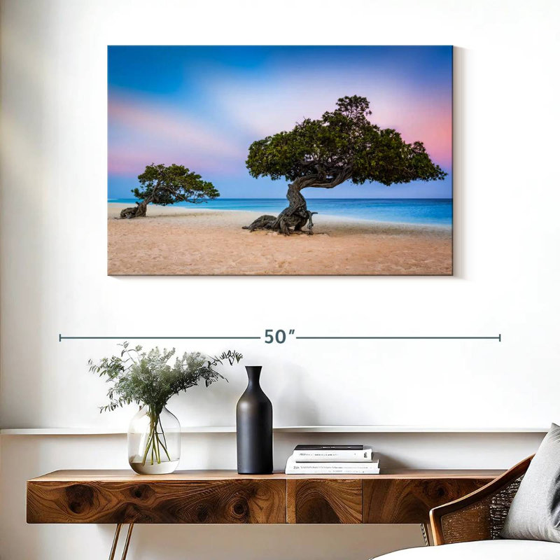 Harnek Divi Divi Trees, H 26 po x l 39 po