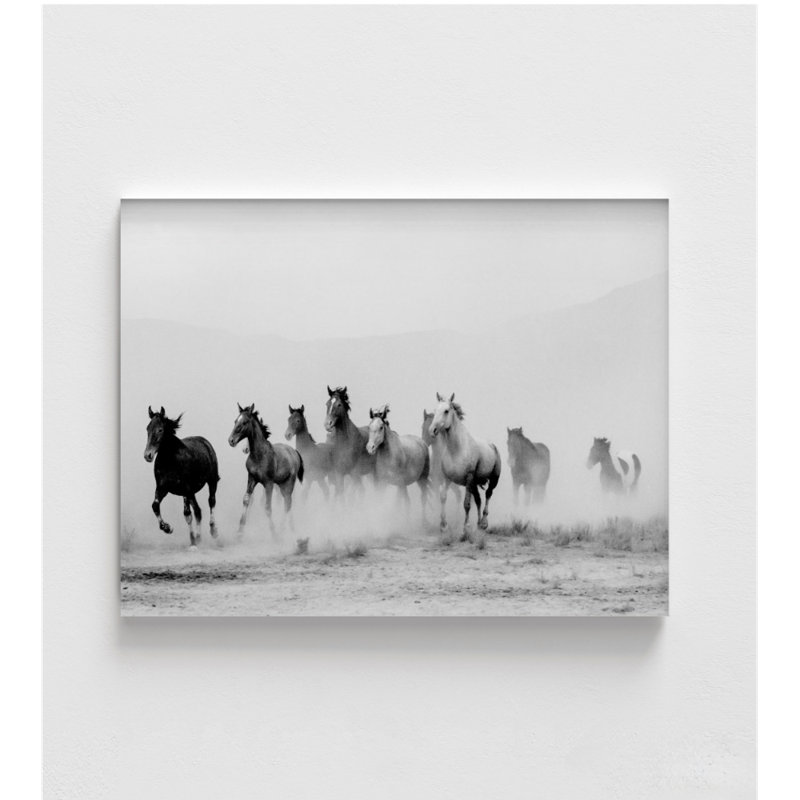 Chevaux sauvages en course | Noir et blanc 30 po x 40 po, Non, H 4 po x l 6 po, Imprimé seulement
