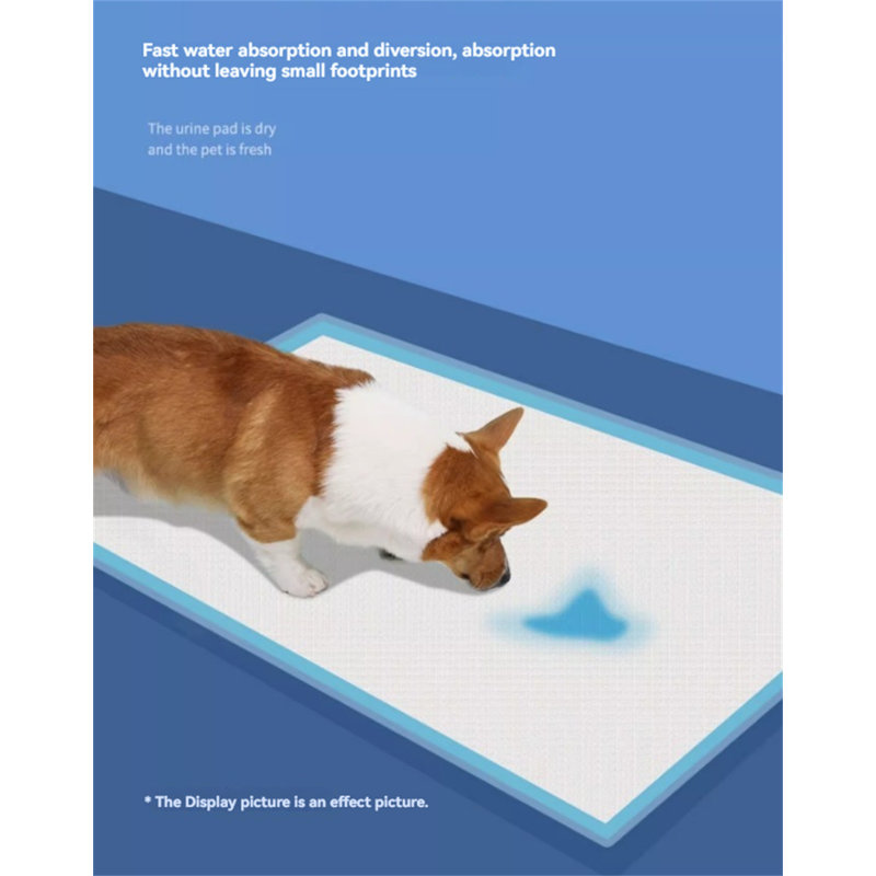 Tapis pour chien (ensemble de 20)