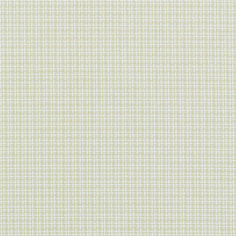 Paramount 100% Cotton Fabric, Celery