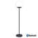 Mooon 53'' LED Outdoor Floor Lamp Floor Lamp