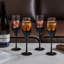 4 Piece 237ml Flute Set