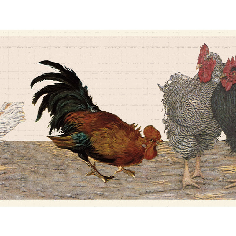 Bordure de papier peint à peindre L 15 pi x l 7 po Naidu Chickens