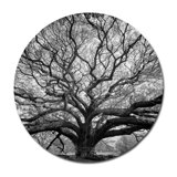 Tree Of Wisdom Print