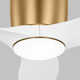 Aisling 3 Blade Ceiling Fan with LED Light Kit
